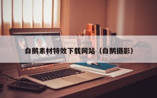 广汉白鹅素材特效下载网站（白鹅摄影）
